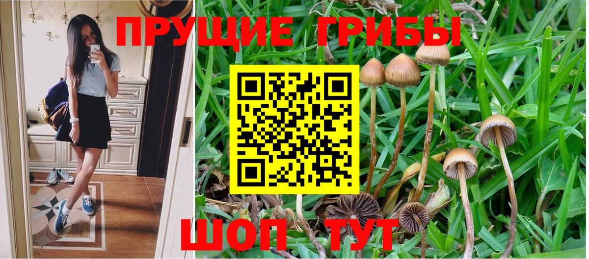 Псилоцибиновые грибы GOLDEN TEACHER  Вход с VPN  Белово 