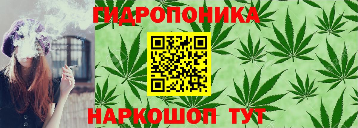 Белово  Конопля SATIVA & INDICA  Вход с VPN  Бошки Шишки индика  Бошки Шишки Bruce Banner 